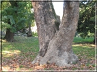 foto Giardini di Porta Venezia